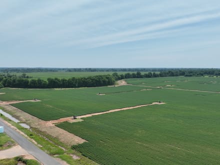 Douglas Farms at Gilliam Louisiana, Caddo Parish 547 +/- acres