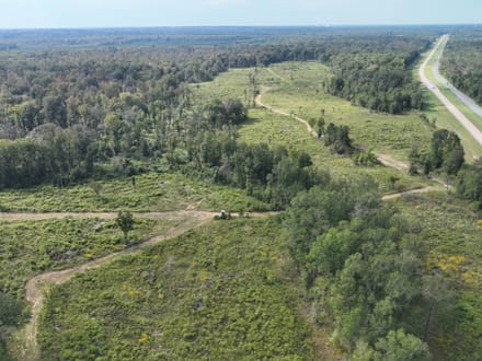 Ansley Hardwood Tract North, Jackson Parish, 296 +/-