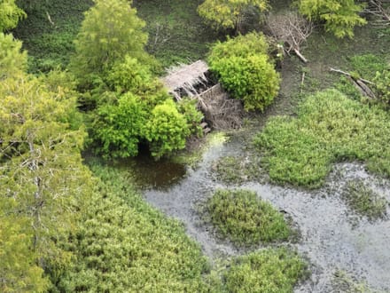 Bodcau Bayou Ducks and Bucks, Lafayette County, 352 Acres +/-