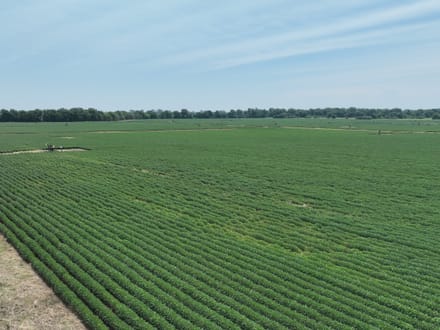 Douglas Farms at Gilliam Louisiana, Caddo Parish 547 +/- acres